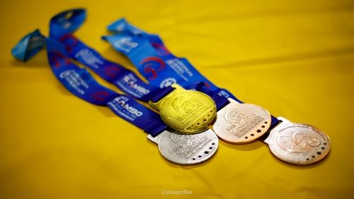 
<p>                                58 золотых медалей Первенства и Чемпионата Европы</p>
<p>                        