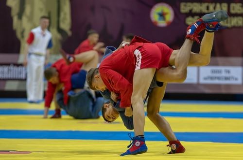 
<p>                                В Брянске прошёл Всероссийский турнир по самбо «Памяти монаха-война Александра Пересвета»</p>
<p>                        